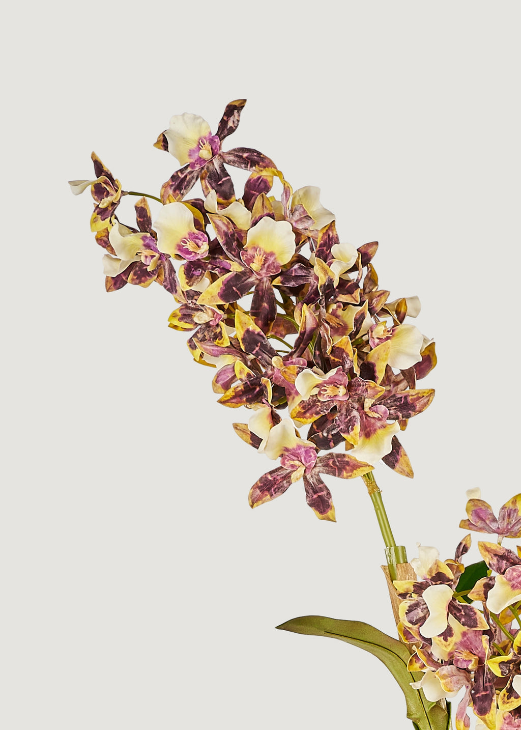 Brown and White Artificial Dendrobium Orchid Plant - 35"