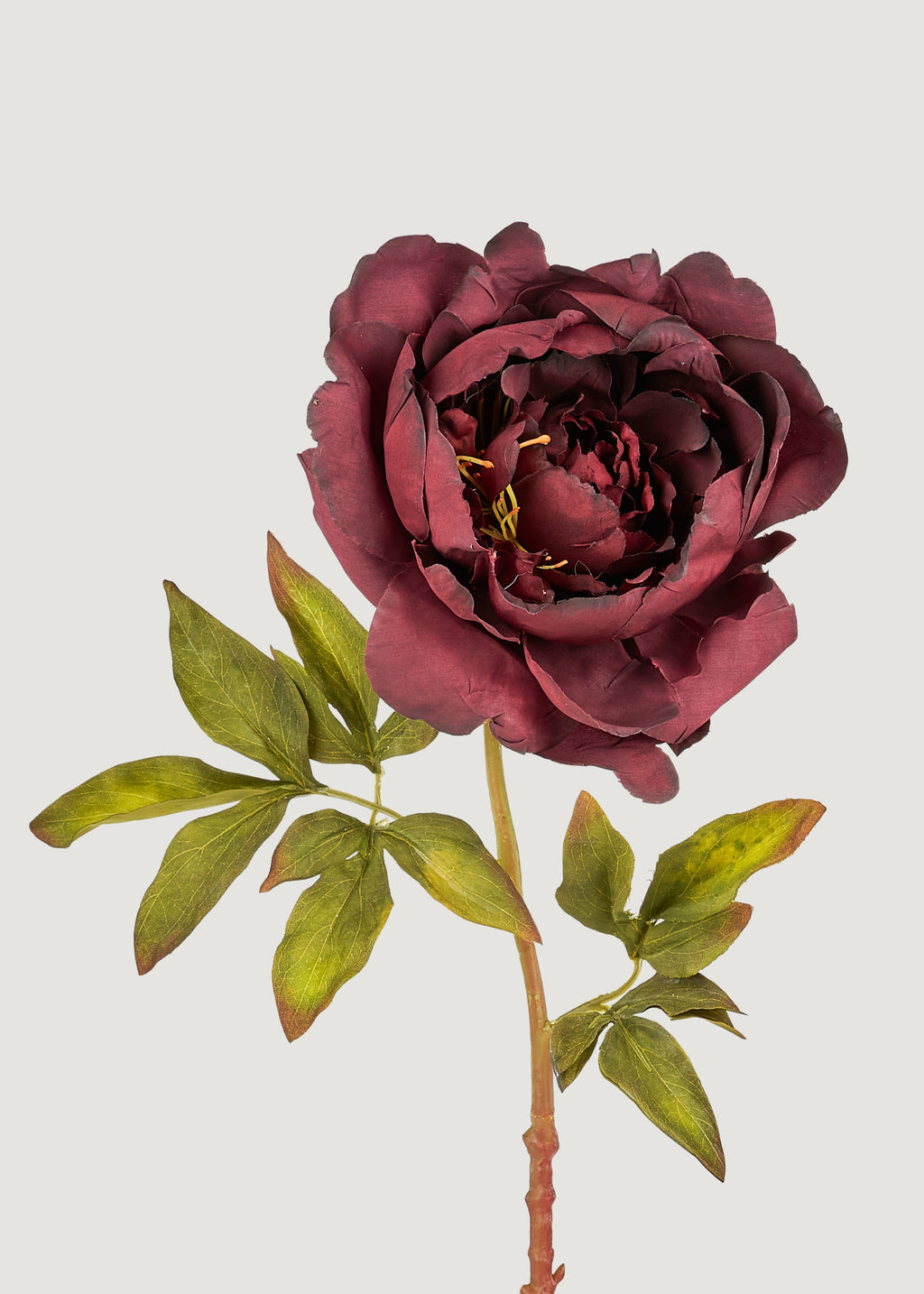 Smokey Plum Purple Fake Peony Flower - 24"