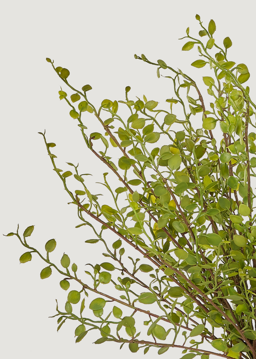 Artificial Maidenhair Creeping Vine Bush - 10"