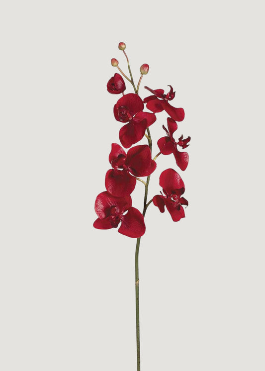 Red Artificial Phalaenopsis Orchid - 38"