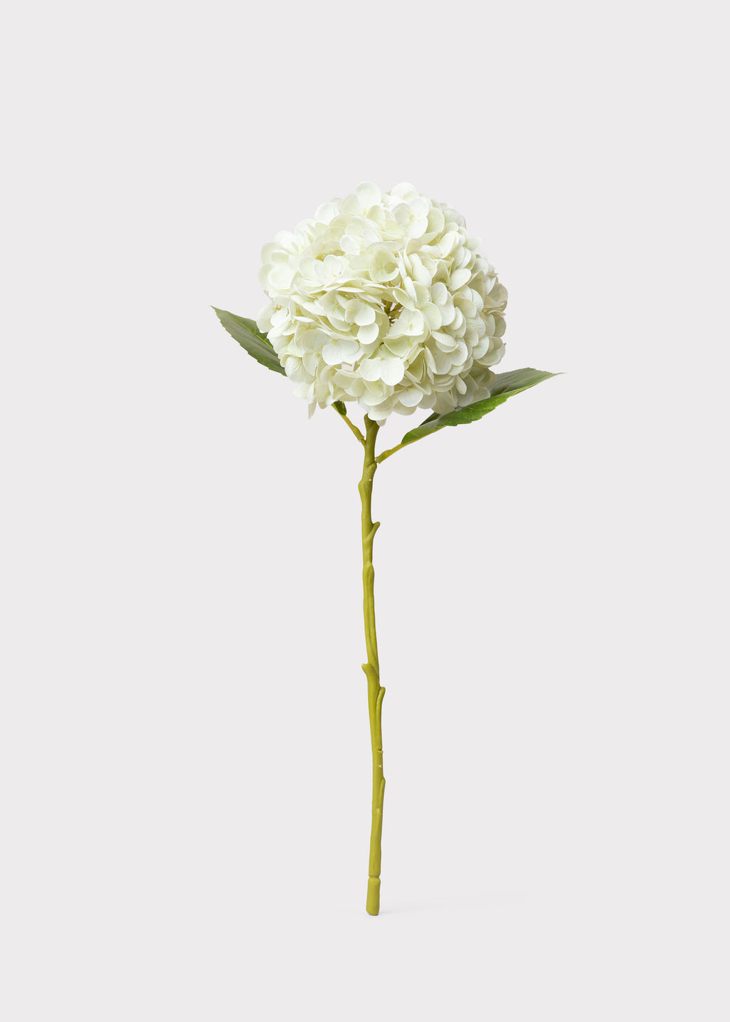 Cream White Hydrangea Real Touch Fake Flower - 18.5"