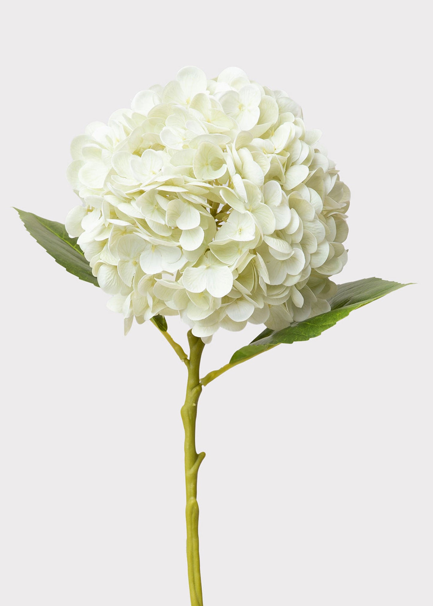 Cream White Hydrangea Real Touch Fake Flower - 18.5"