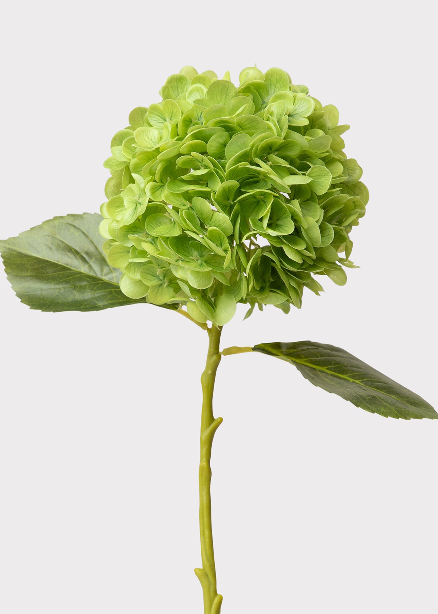 Hydrangea Real Touch Fake Flower in Green - 18.5"
