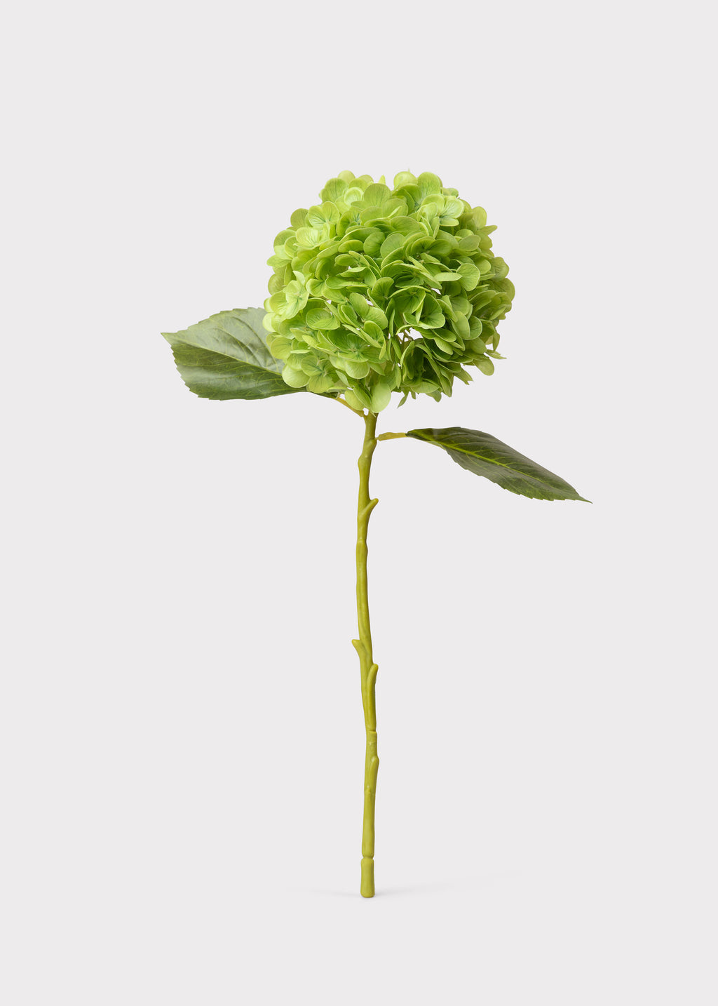 Hydrangea Real Touch Fake Flower in Green - 18.5"