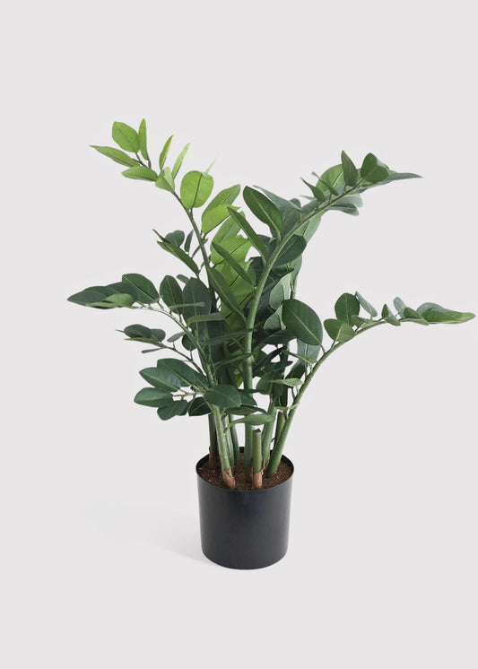UV Resistant Outdoor Potted Artificial ZZ Plant - 31"