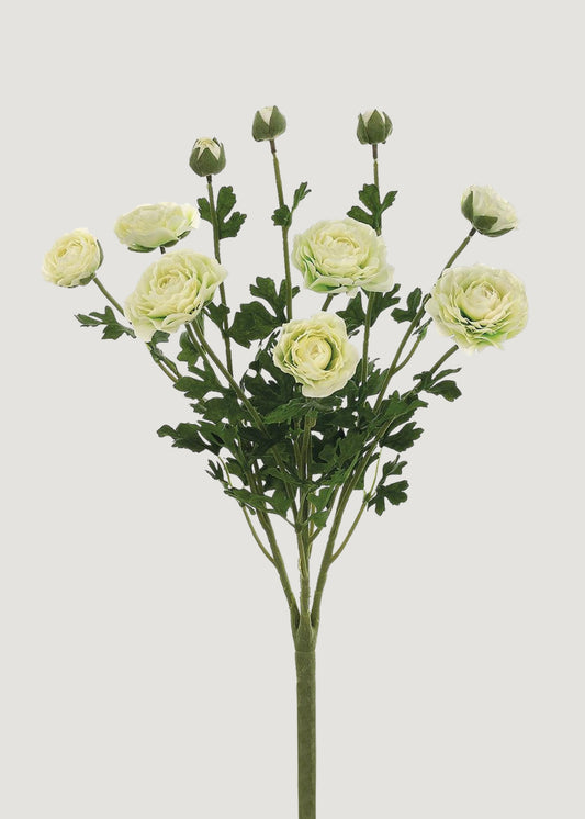 Artificial Ranunculus Flower Bush in Cream - 19"