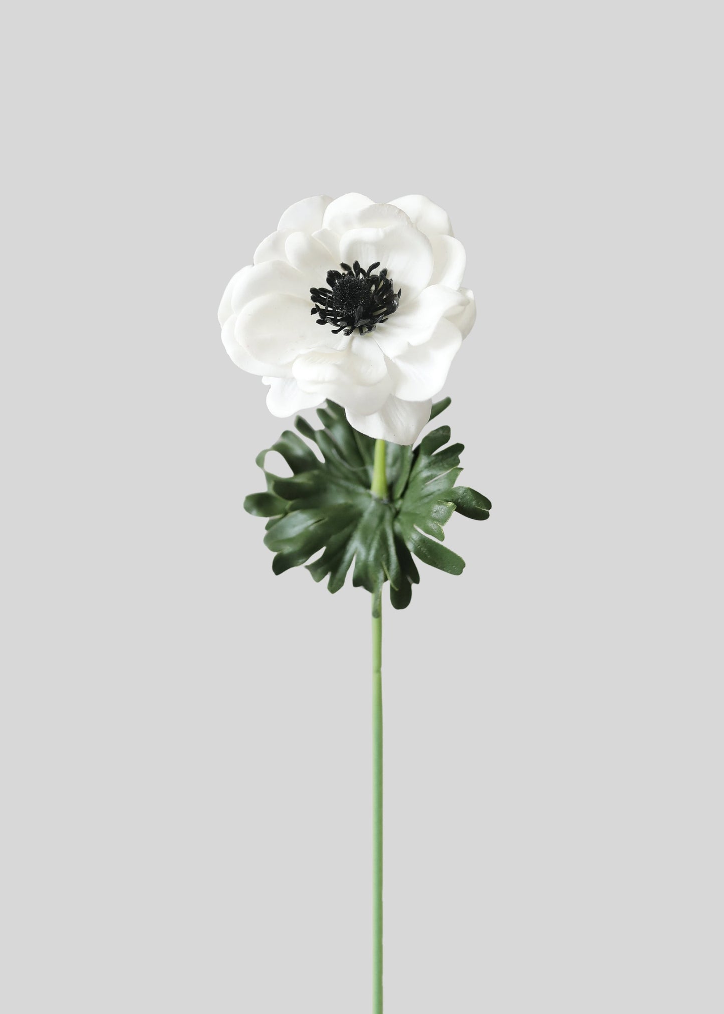 White Anemone Real Touch Fake Flower - 14"