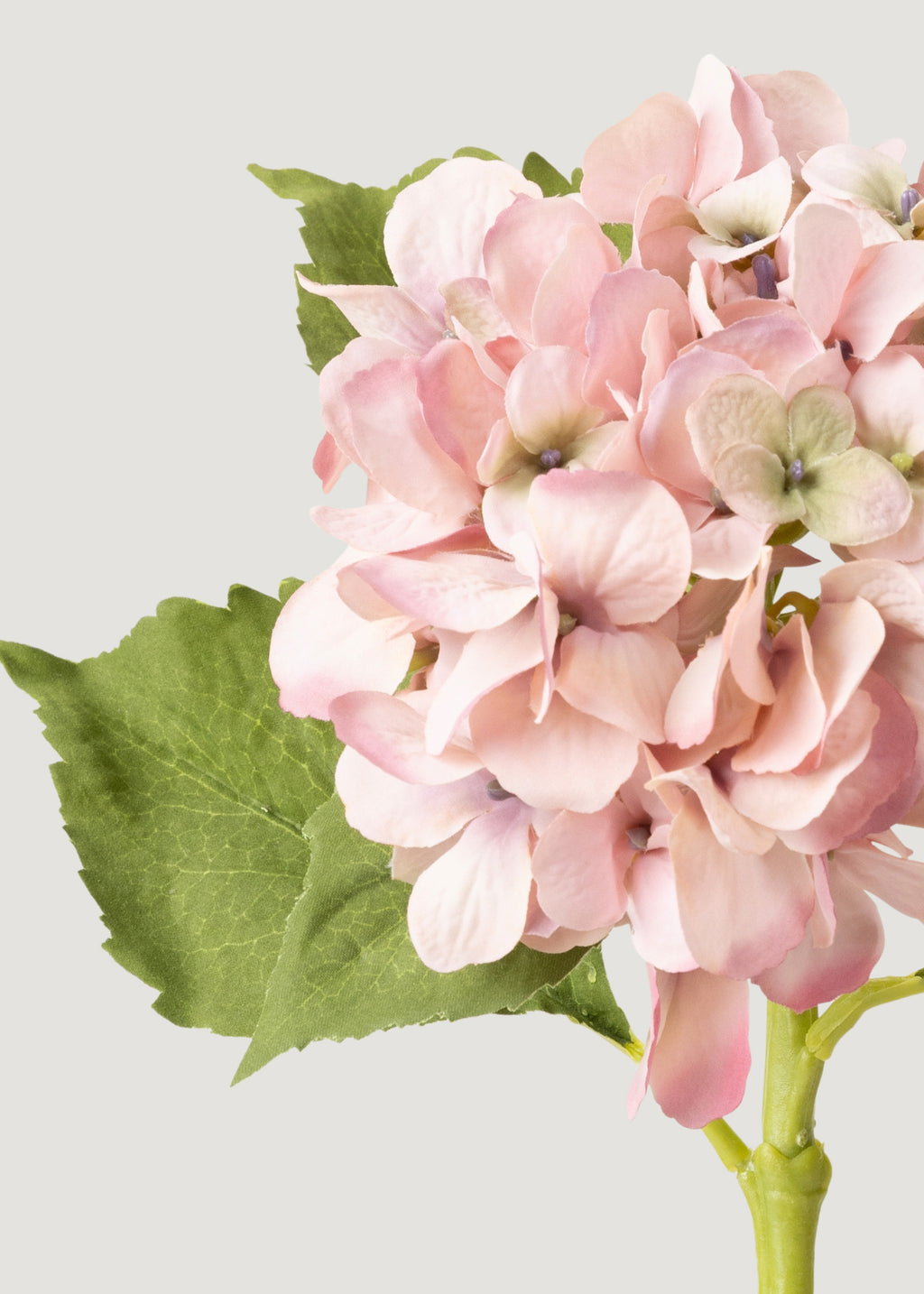 Small Hydrangea Artificial Flower in Antique Pink - 19"