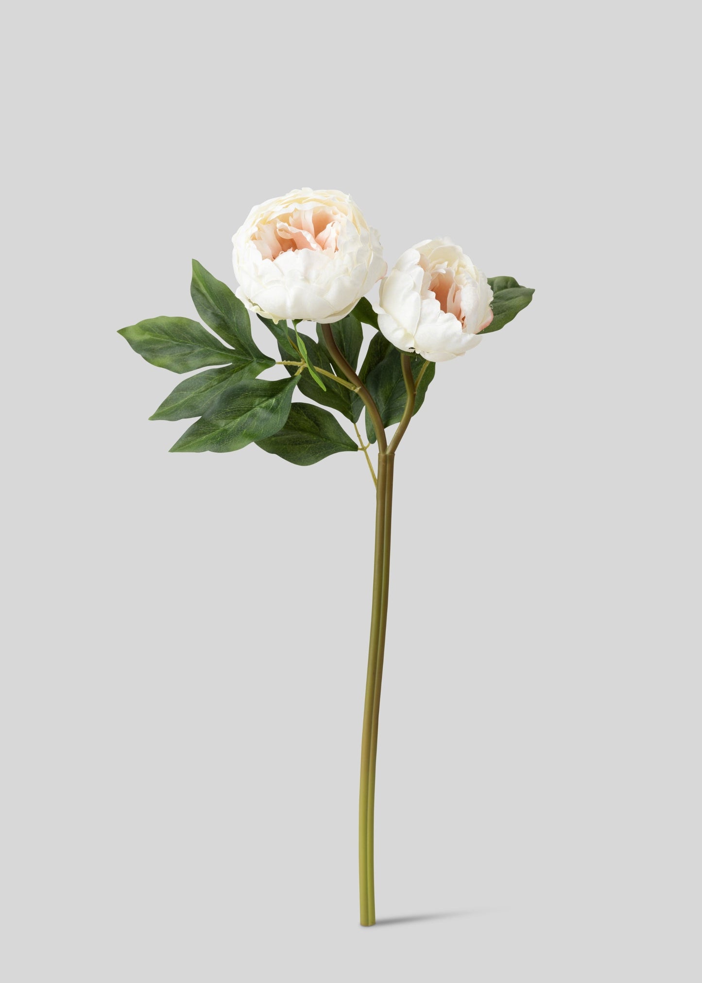 Cream Artificial Peony Flowers - 22"