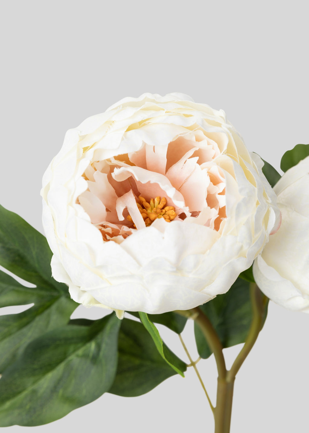 Cream Artificial Peony Flowers - 22"