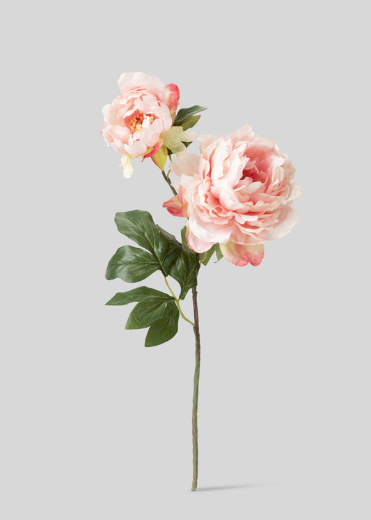 Pink Artificial Blooming Peony with Bud - 19.5"
