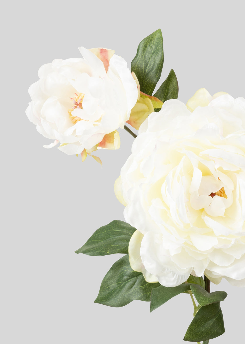 Cream Fake Blooming Peony with Bud - 19.5"