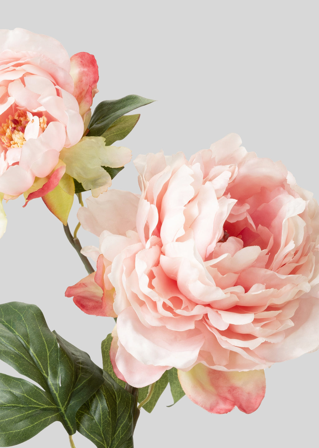 Pink Artificial Blooming Peony with Bud - 19.5"