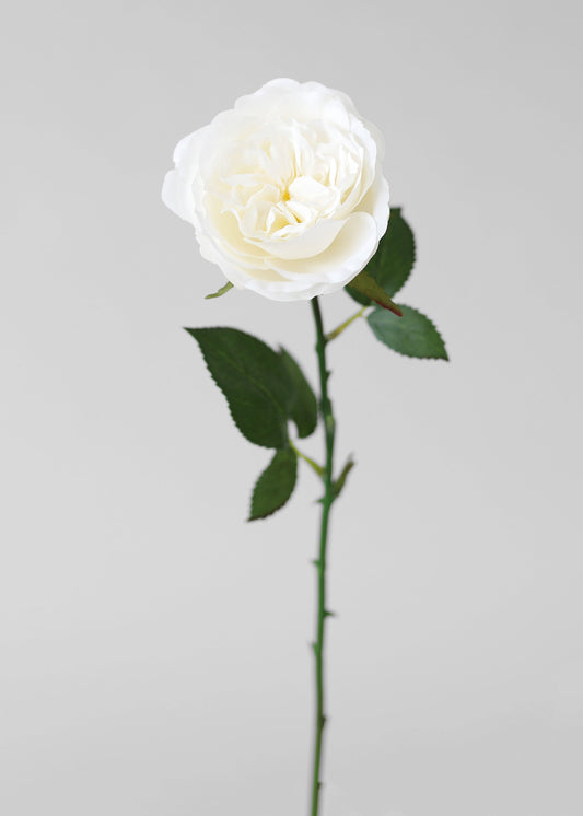 White Fake English Cabbage Rose - 20.5"