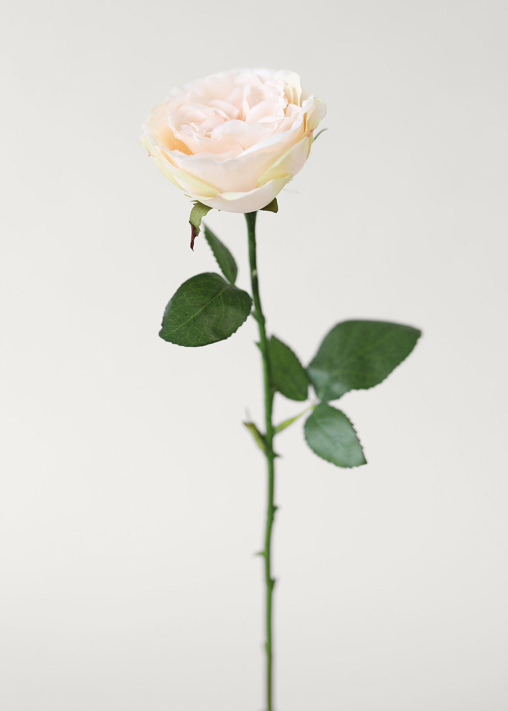 Fake English Cabbage Rose in Pink Apricot - 20.5"