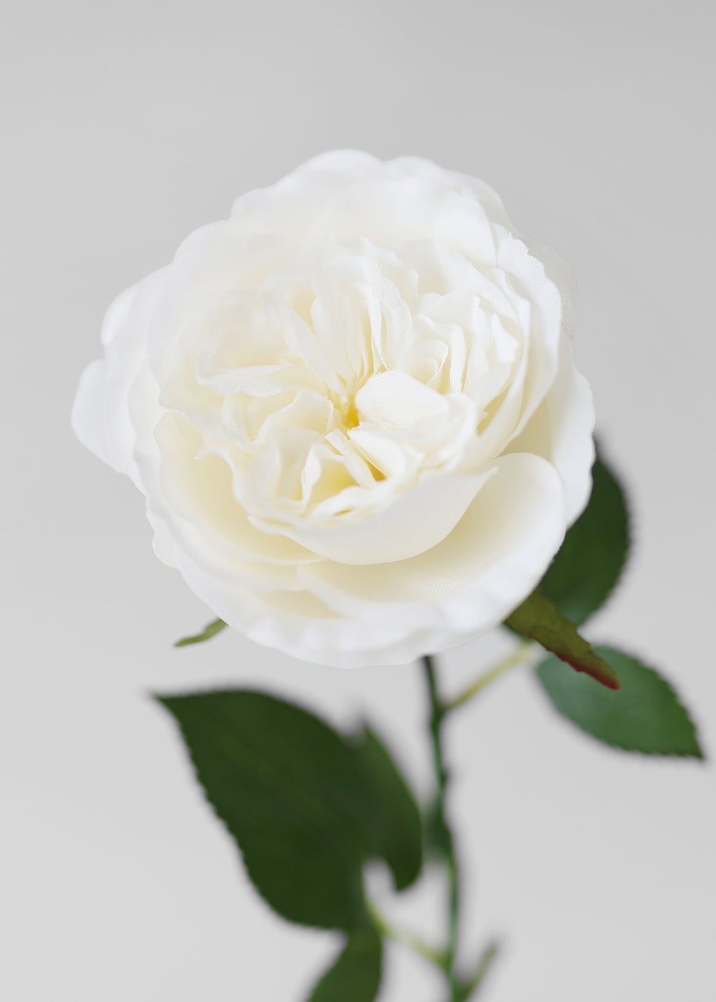 White Fake English Cabbage Rose - 20.5"