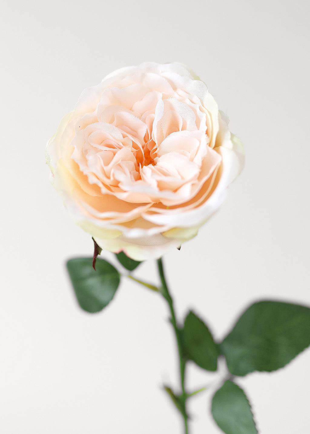 Fake English Cabbage Rose in Pink Apricot - 20.5"