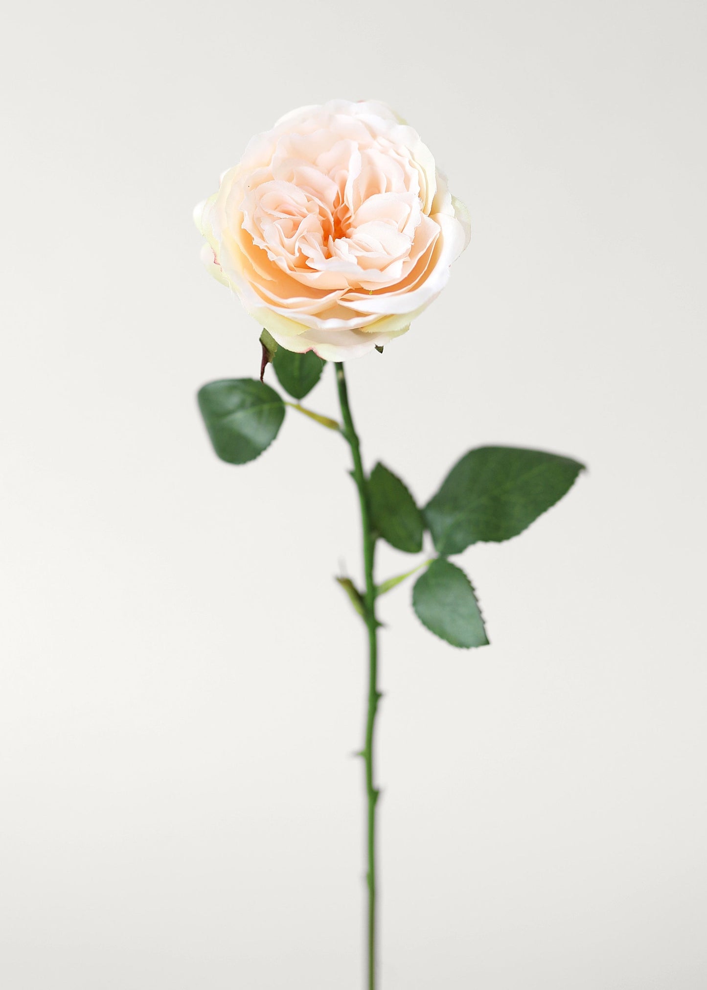 Fake English Cabbage Rose in Pink Apricot - 20.5"