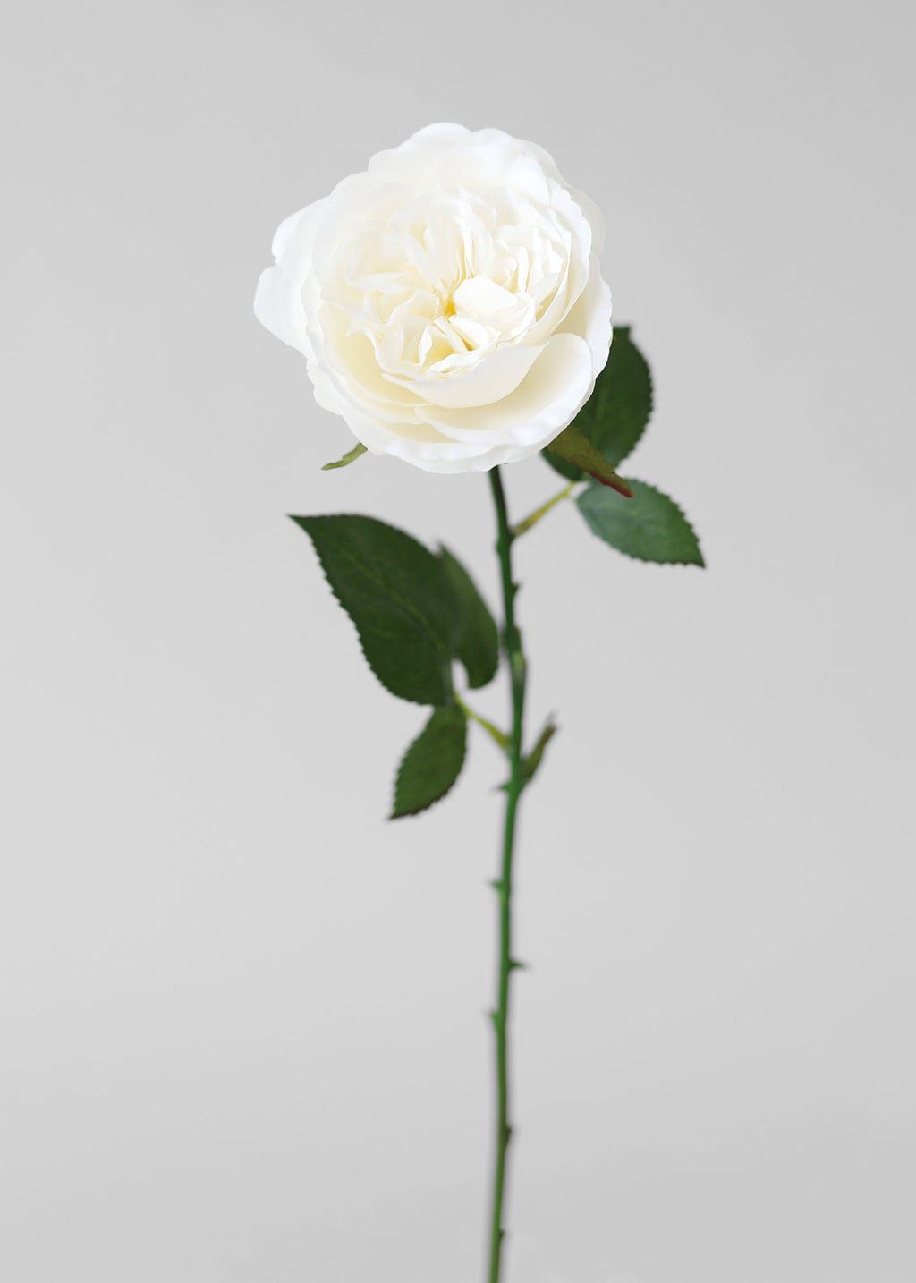 White Fake English Cabbage Rose - 20.5"