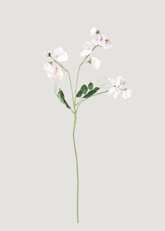 Cream Fake Sweet Pea Wildflowers - 26.75"