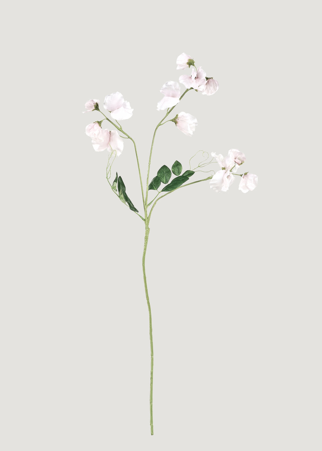 Cream Fake Sweet Pea Wildflowers - 26.75"