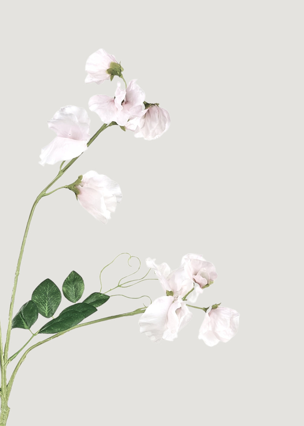 Cream Fake Sweet Pea Wildflowers - 26.75"