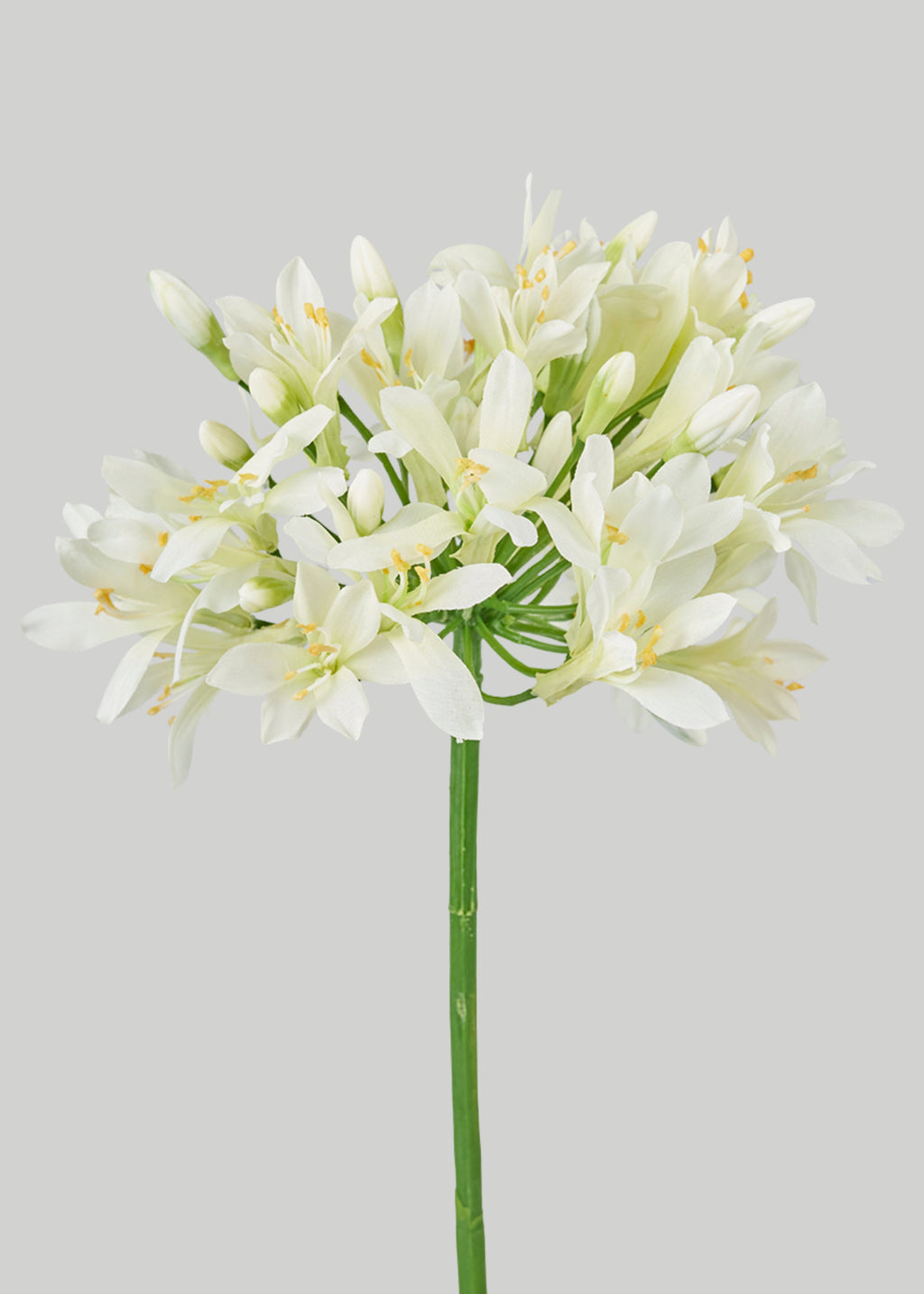 Cream Green Artificial Agapanthus Flower - 35"