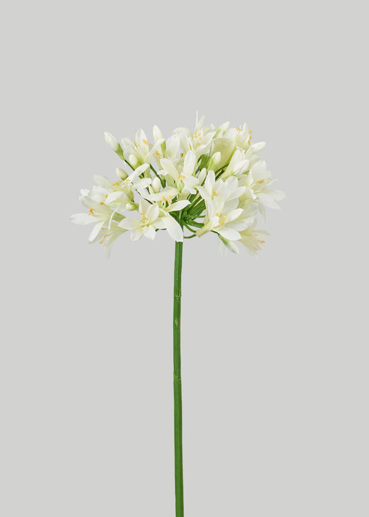 Cream Green Artificial Agapanthus Flower - 35"