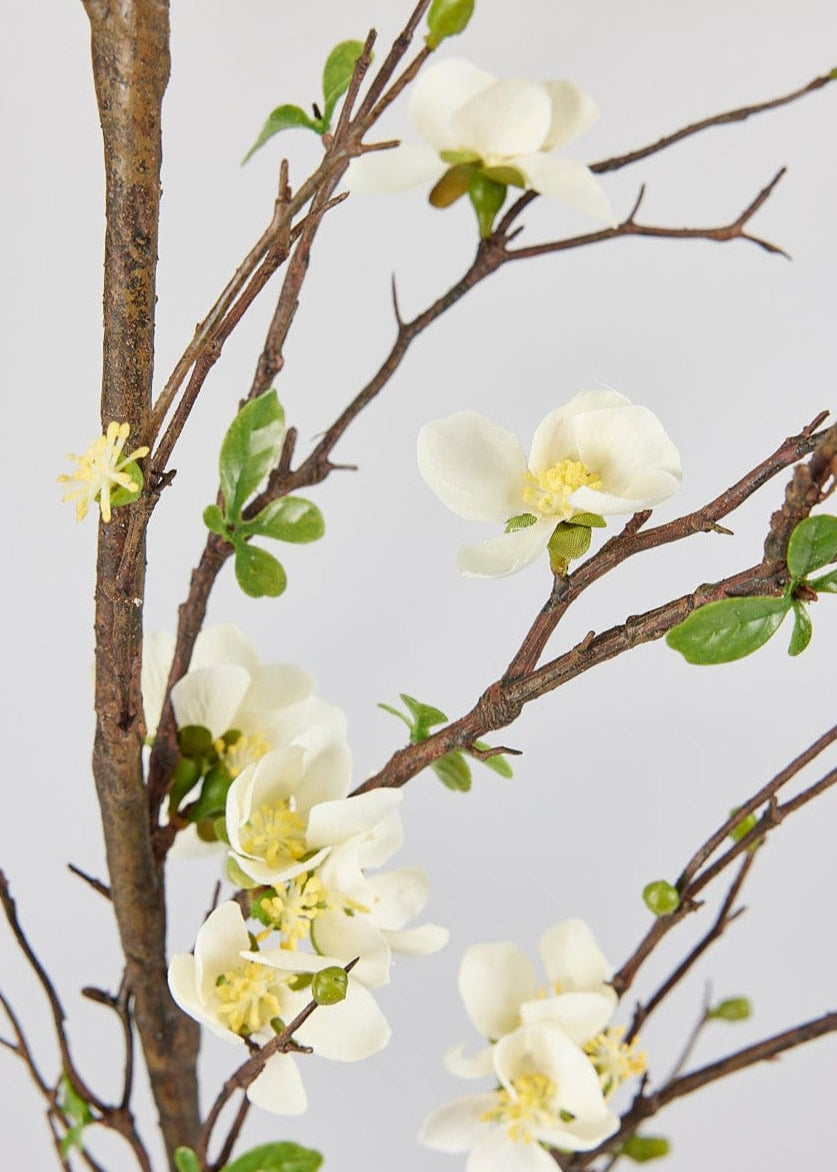 Premium Artificial Flowers  - Cream Artificial Blossom Branch - 57"