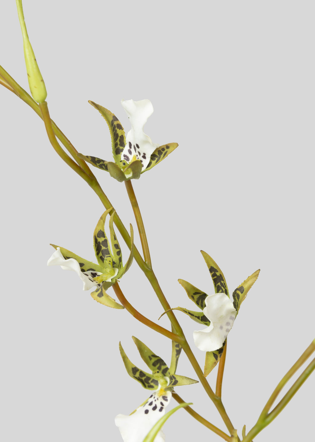 Tall Artificial Blooming Brassia Orchid Plant - 52"