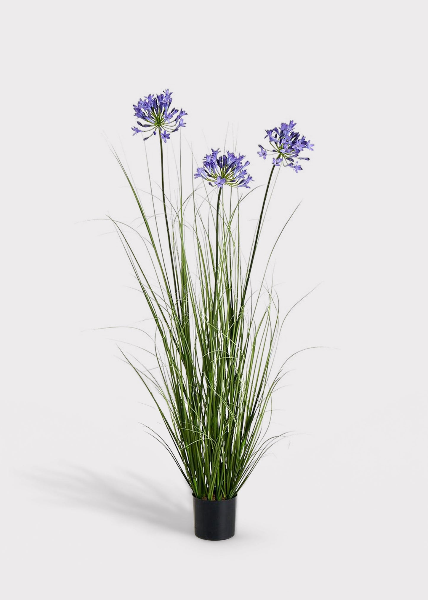 Blue Artificial Agapanthus Grass in Pot - 47"