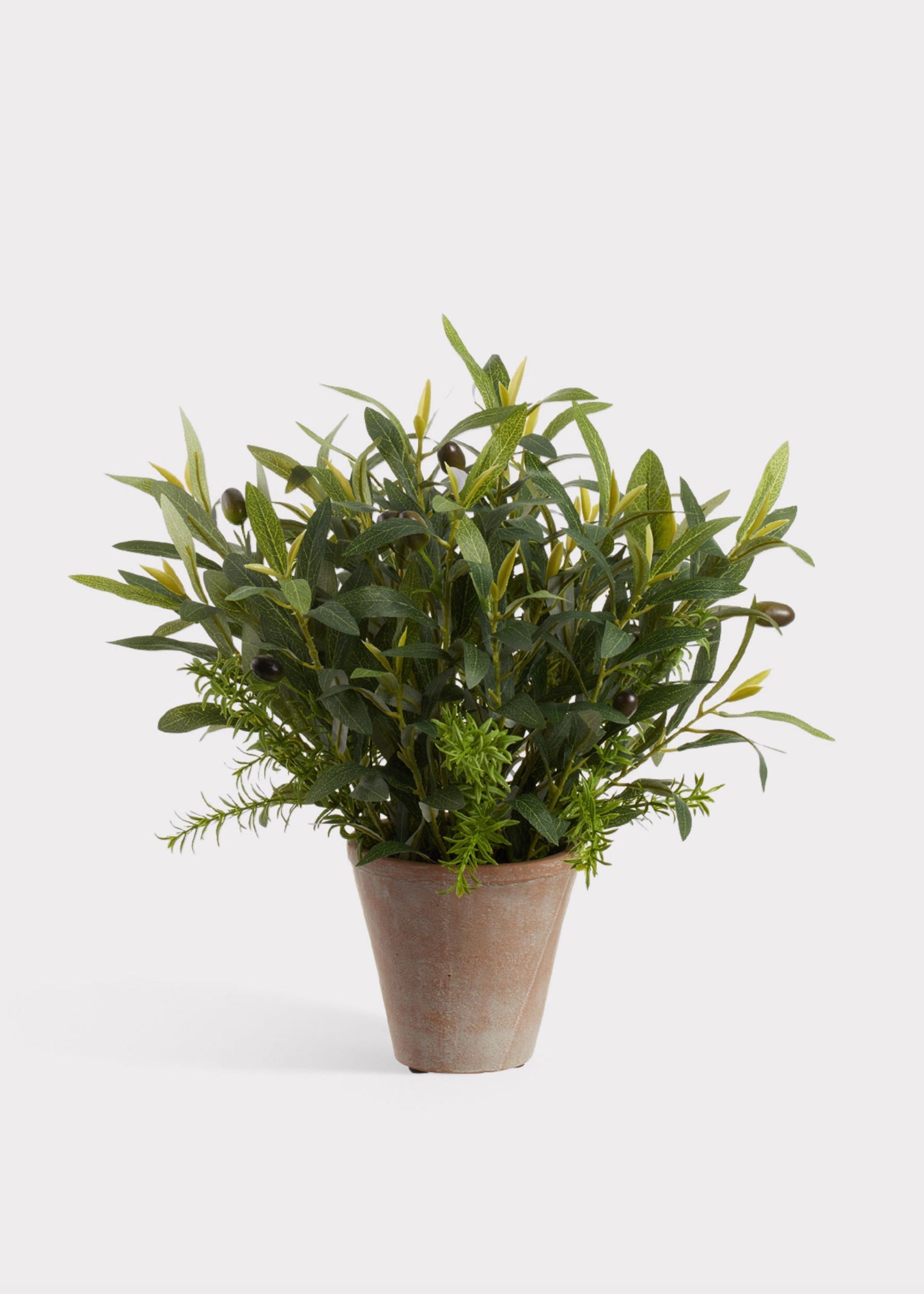 Fake Olive Leaf and Rosemary Plant in Cement Pot - 17"
