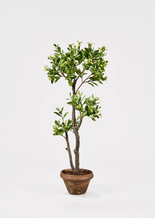Artificial Japonicus Potted Tree - 39.75"