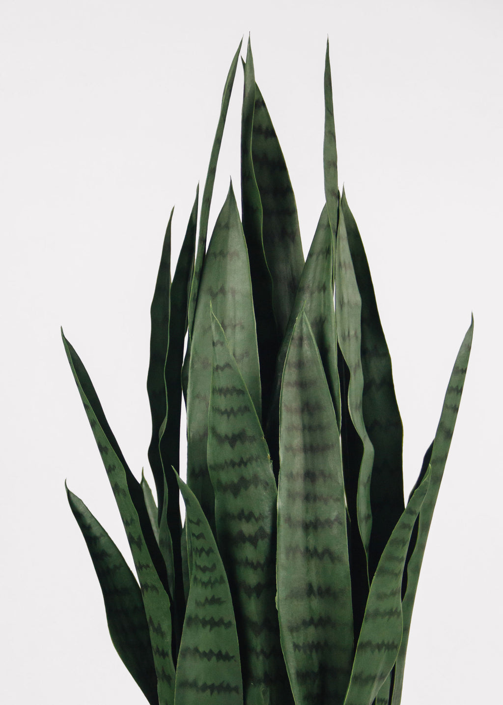 UV Treated Outdoor Fake Potted Sansevieria Snake Plant - 35"