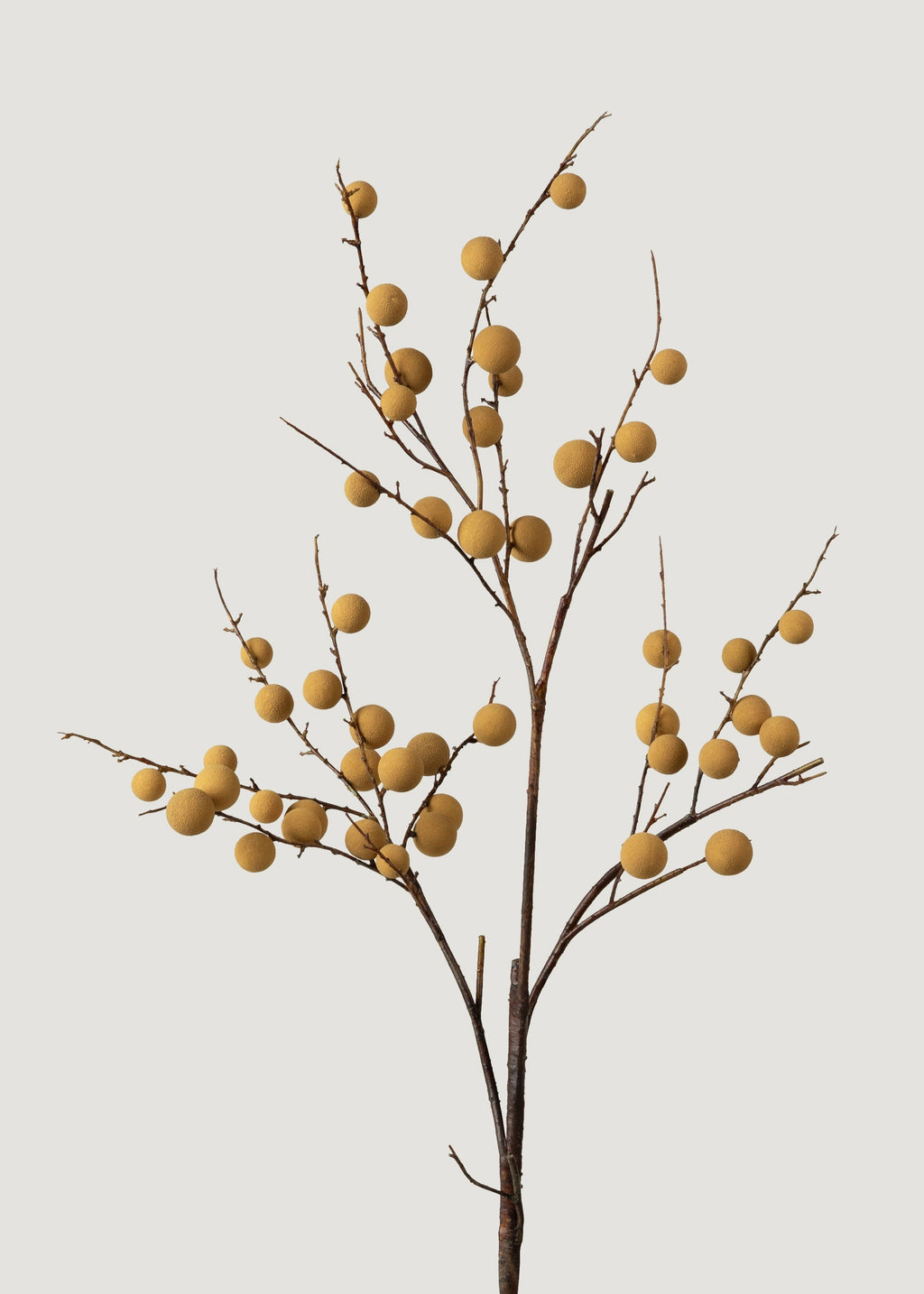 Artificial Longan Branch - 39"