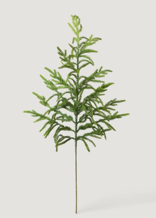 Afloral™ Real Touch Norfolk Pine Branch - 36"