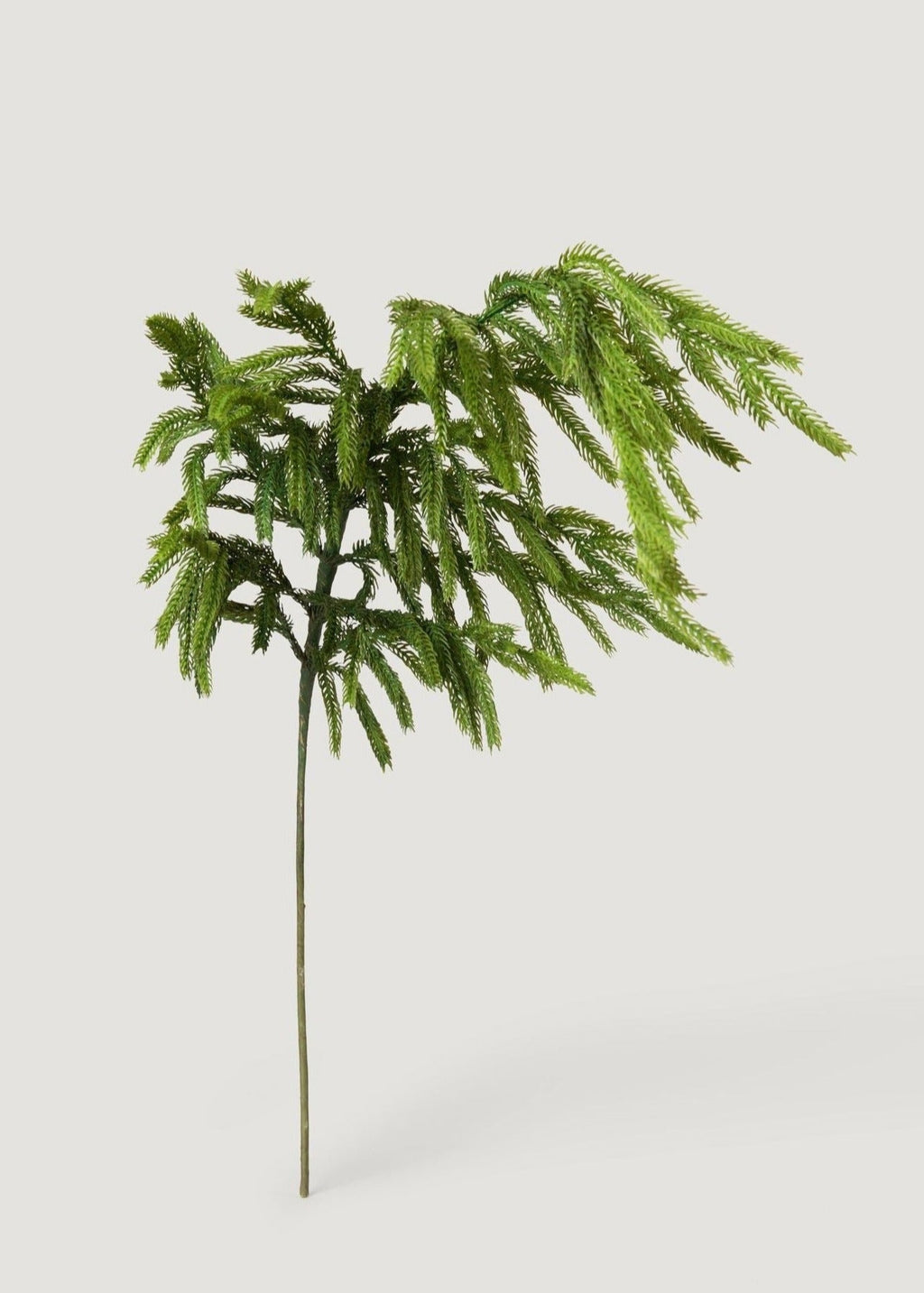 Afloral™ Real Touch Norfolk Pine Branch - 36"