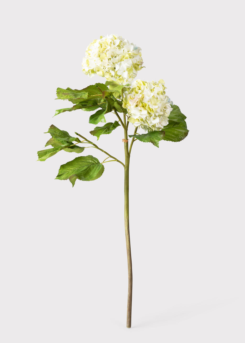 Cream Green Artificial Hydrangea Branch - 36"
