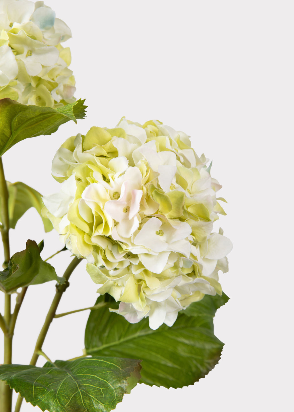Cream Green Artificial Hydrangea Branch - 36"