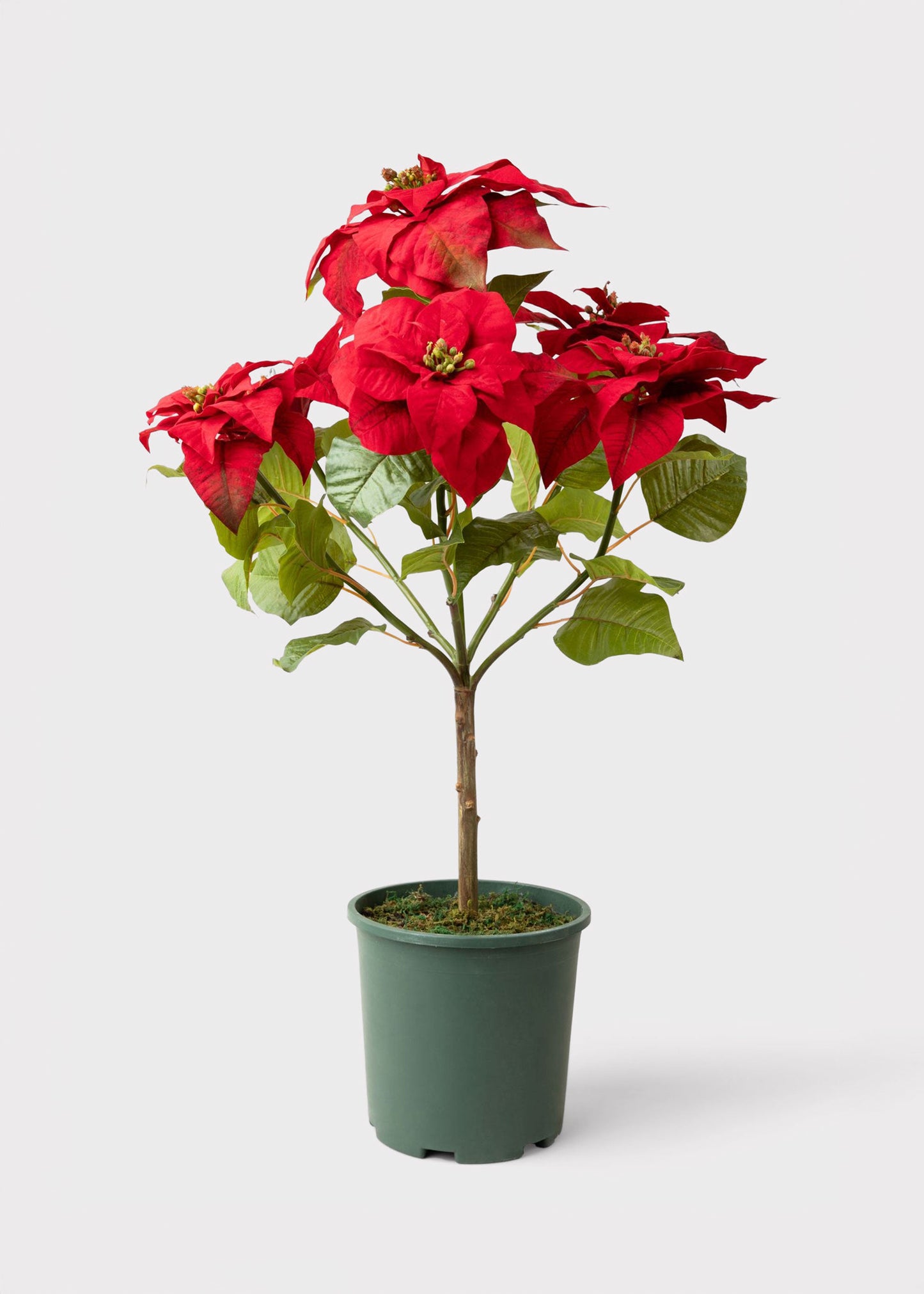 SALE - Faux Tabletop Poinsettia Tree - 36"