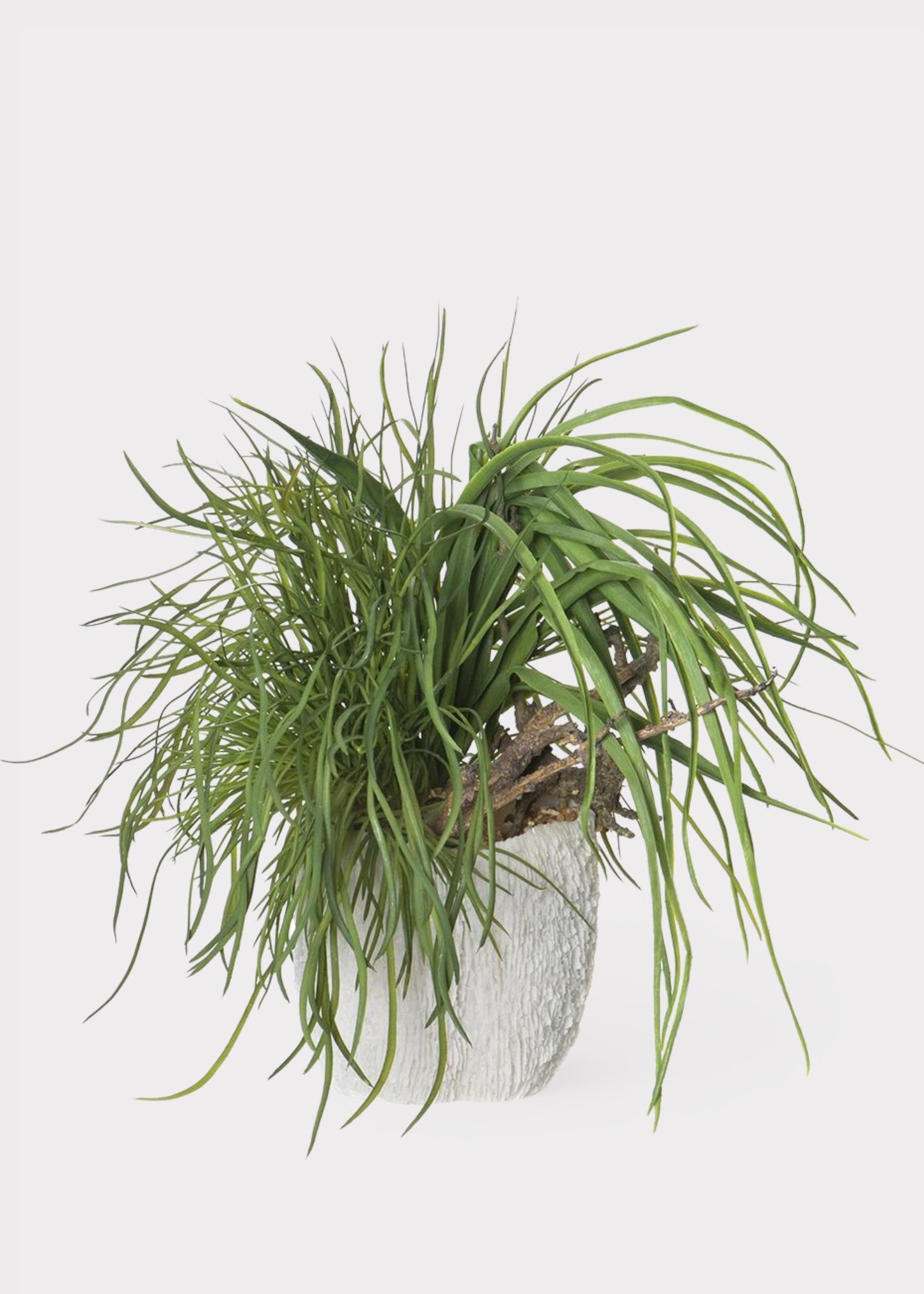 Fake Potted Grass and Driftwood Arrangement in Vase - 18.5"
