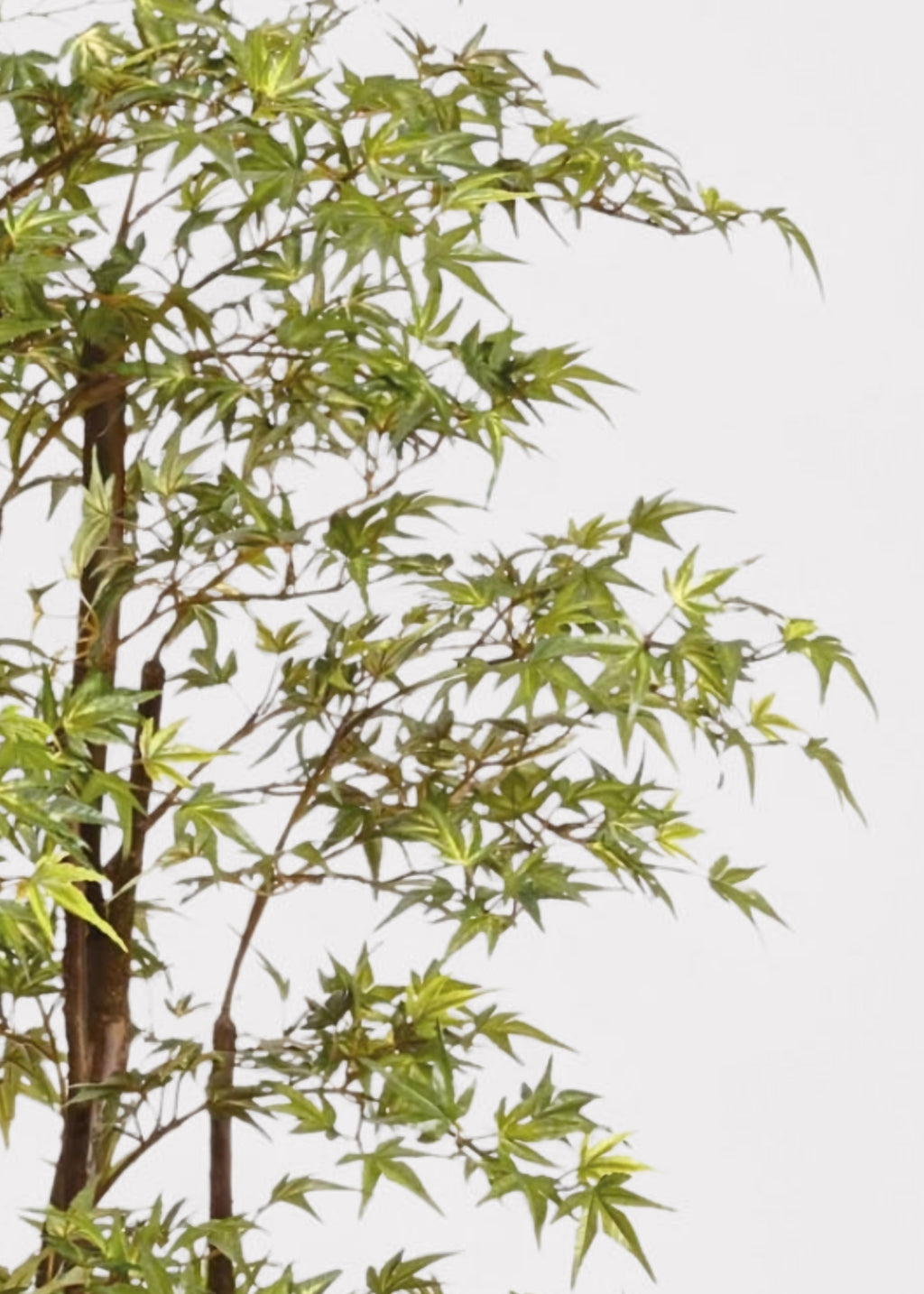 Faux Potted Japanese Maple Tree in Cement Pot - 6.5'