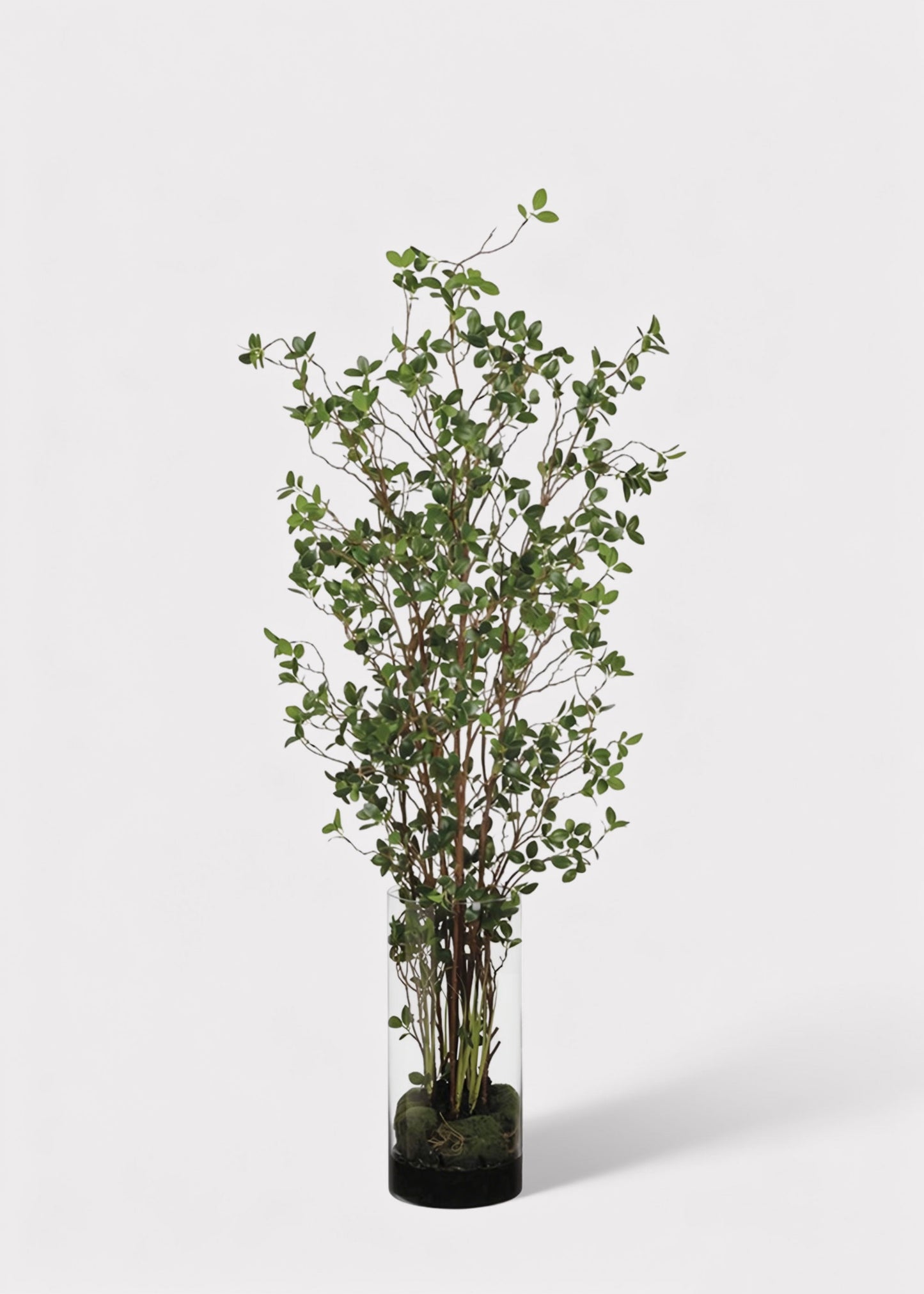 Artificial Tree Plant in Glass Cylinder Vase - 60"