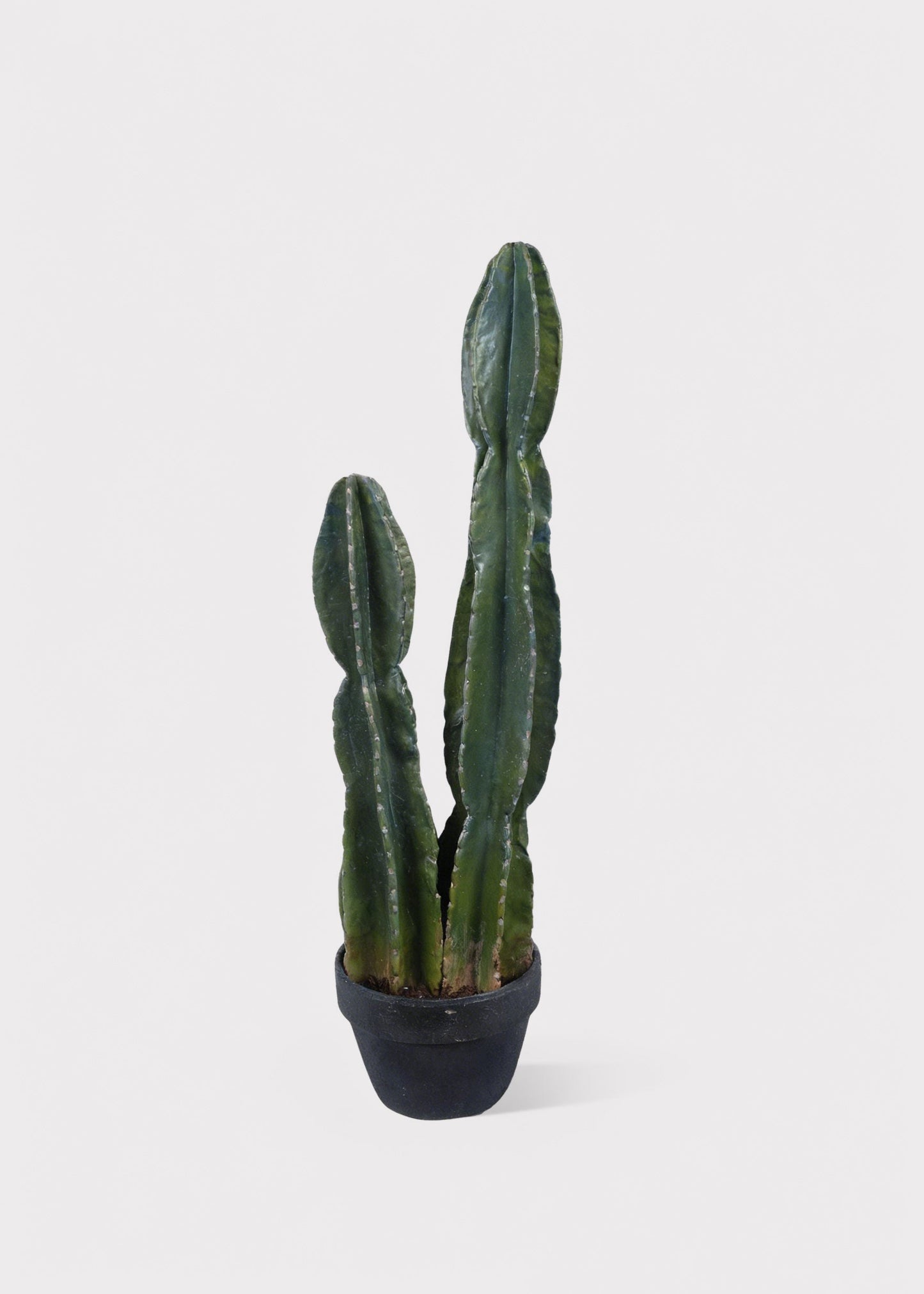Fake Potted Cactus Plant - 33.75"