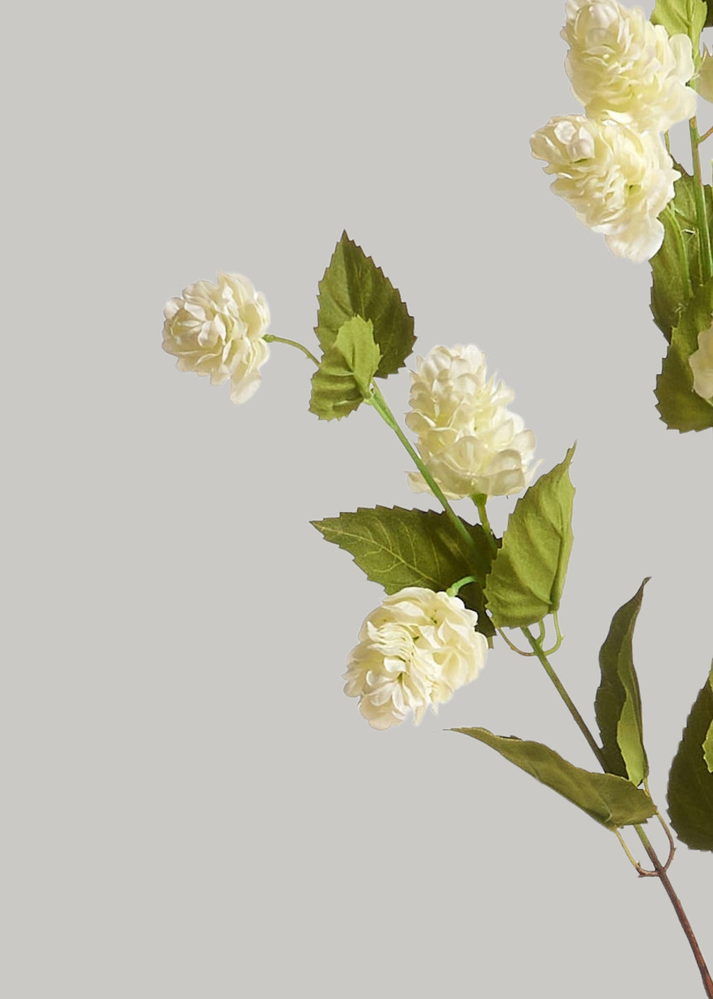 Tall Artificial Hops Branch in Cream Green - 40"