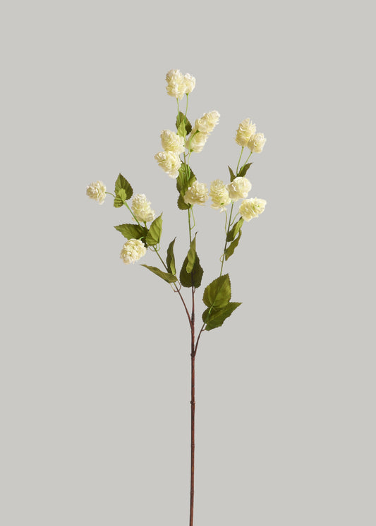 Tall Artificial Hops Branch in Cream Green - 40"