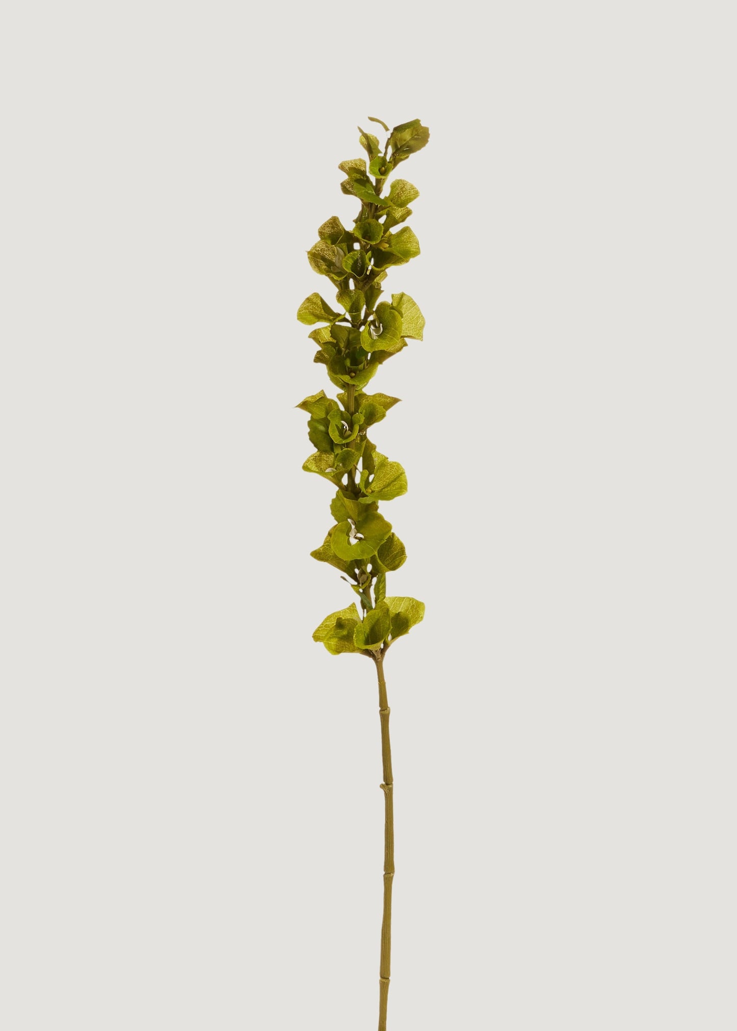 Green Artificial Bells of Ireland Flower Stem - 42"