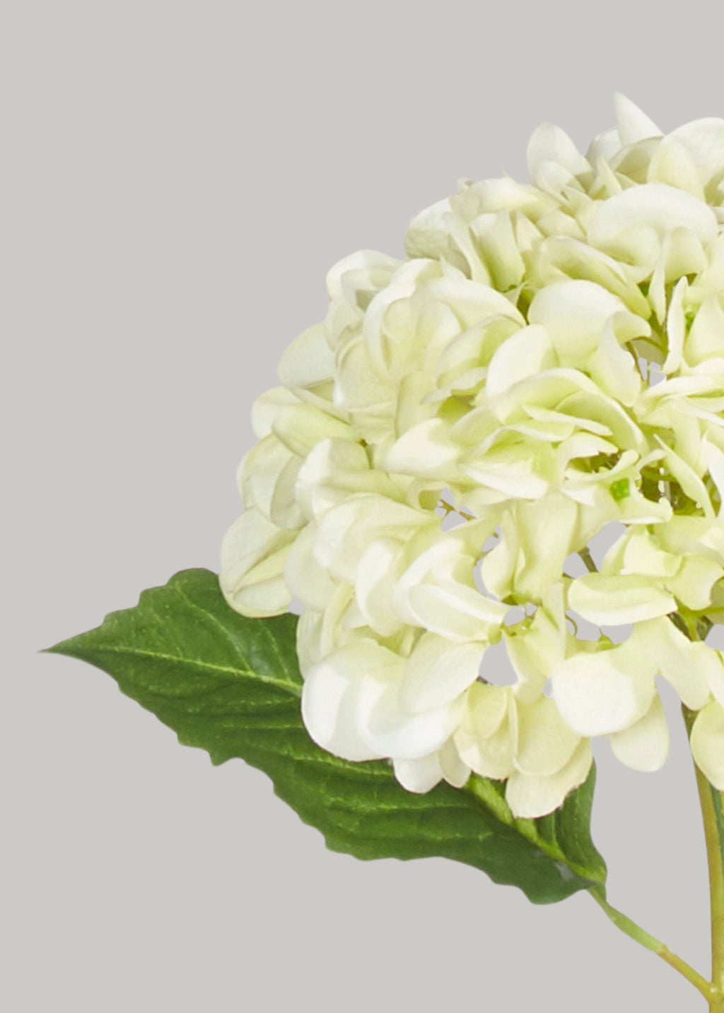 Real Touch Hydrangea Fake Flower in Light Green - 20.5"