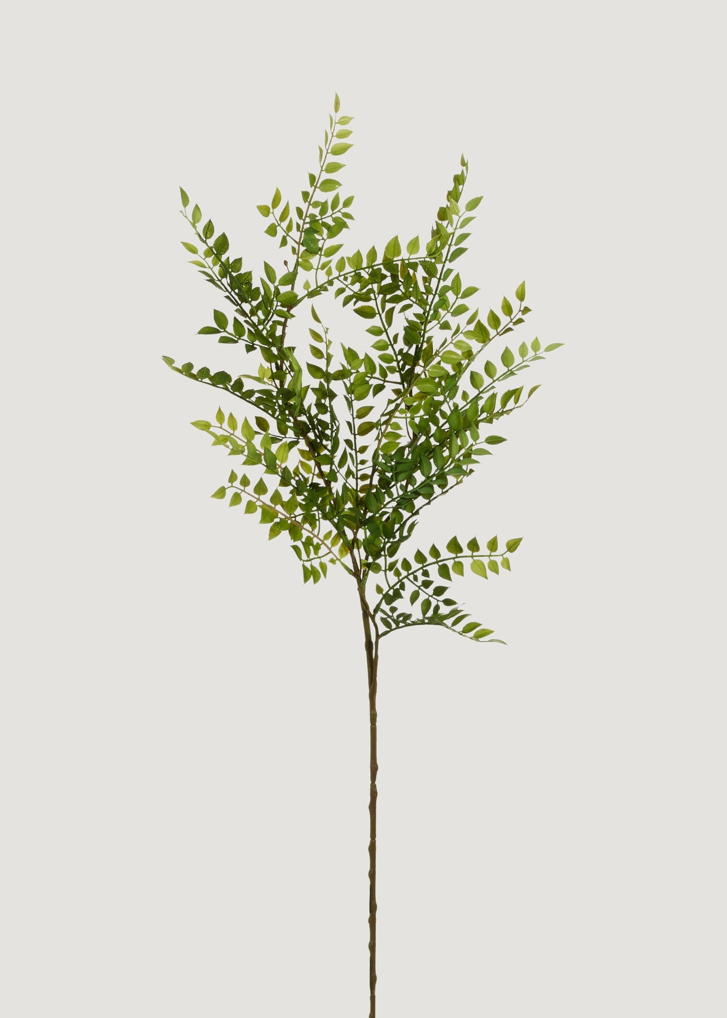 Artificial Ruscus Leaf Branch - 36.5"