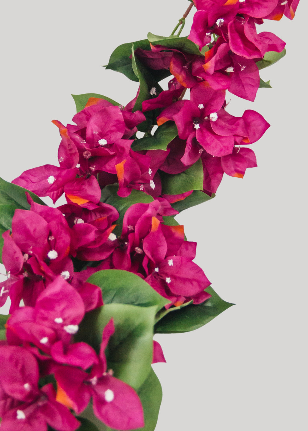 Fuchsia Pink Artificial Bougainvillea Garland - 72"